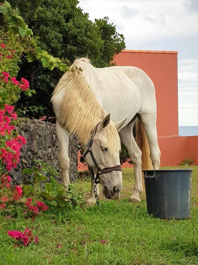 Quinta da Falesia - Casa Branca Ponta Delgada Esterno foto